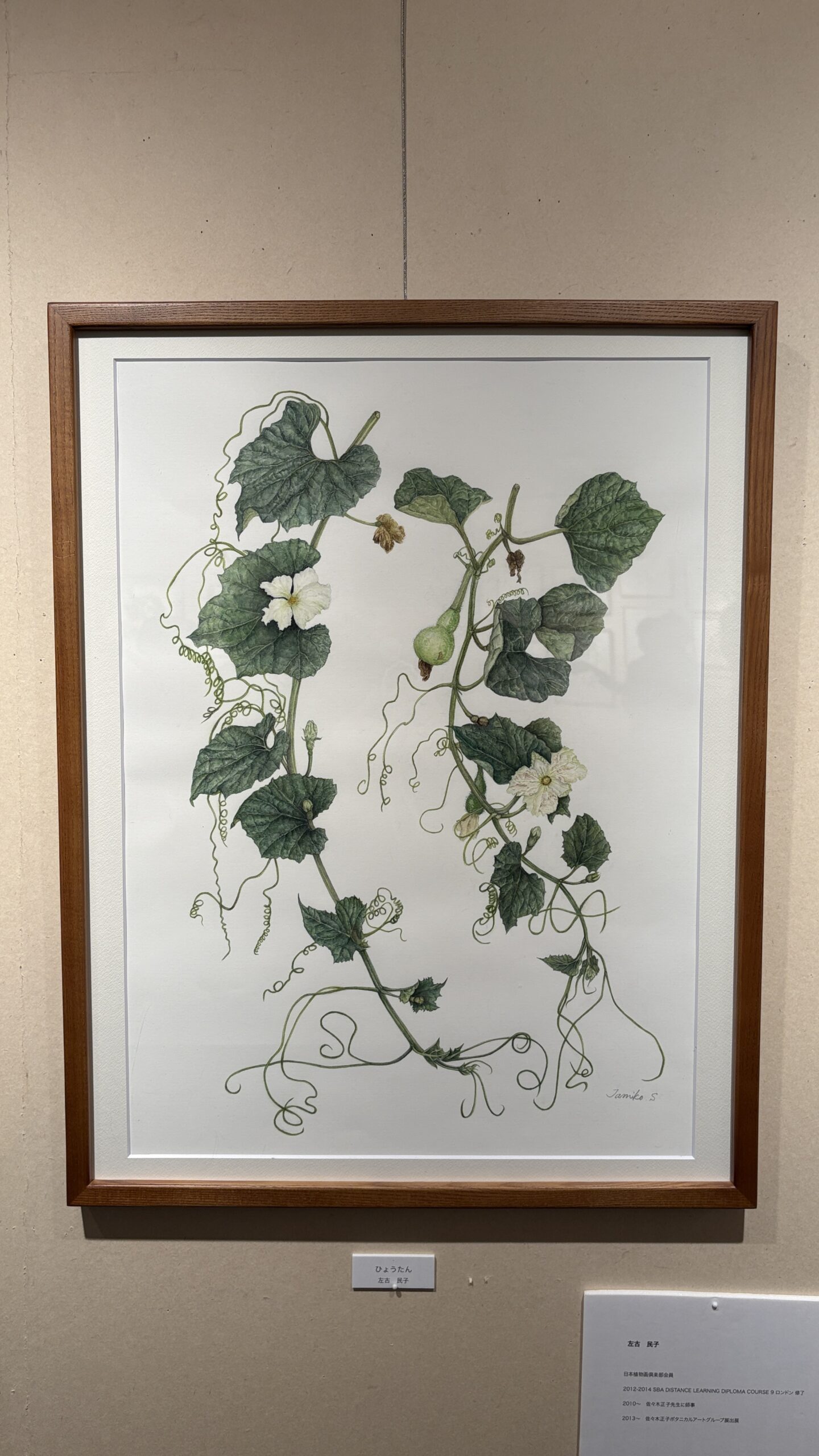 Gallery うぇすと | 佐々木正子ボタニカルアートグループ展 – Gallery